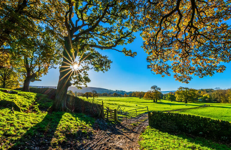 North Yorkshire Area